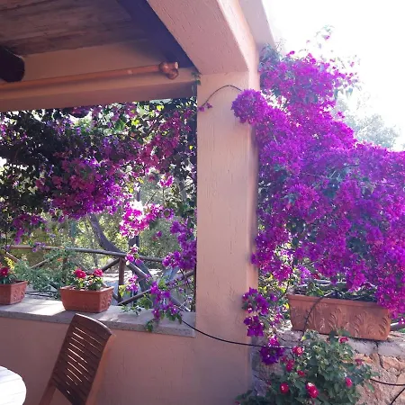 Apartment Casa Bouganville *